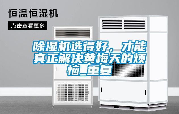 除湿机选得好，才能真正解决黄梅天的烦恼_重复