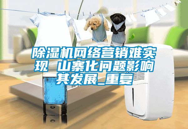 除湿机网络营销难实现 山寨化问题影响其发展_重复