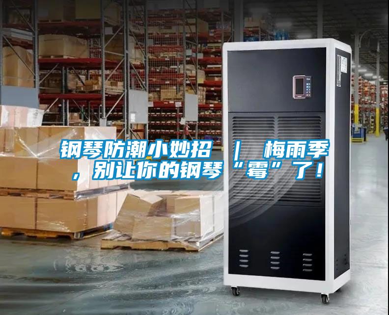钢琴防潮小妙招 ｜ 梅雨季，别让你的钢琴“霉”了！