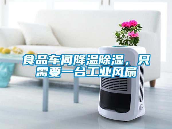 食品车间降温除湿，只需要一台工业风扇