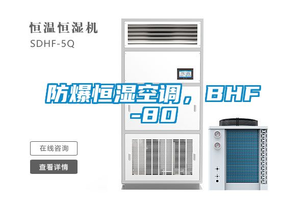 防爆恒湿空调，BHF-80