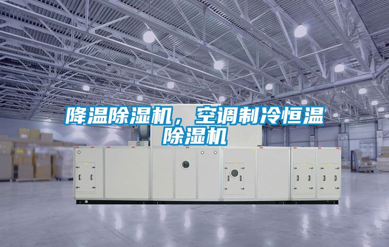 降温除湿机，空调制冷恒温除湿机