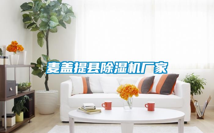 麦盖提县除湿机厂家