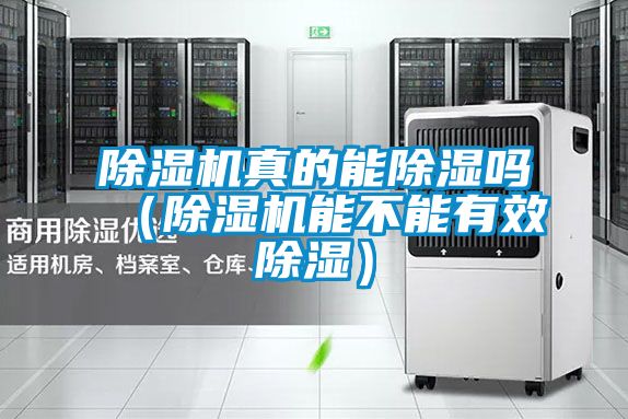除湿机真的能除湿吗（除湿机能不能有效除湿）