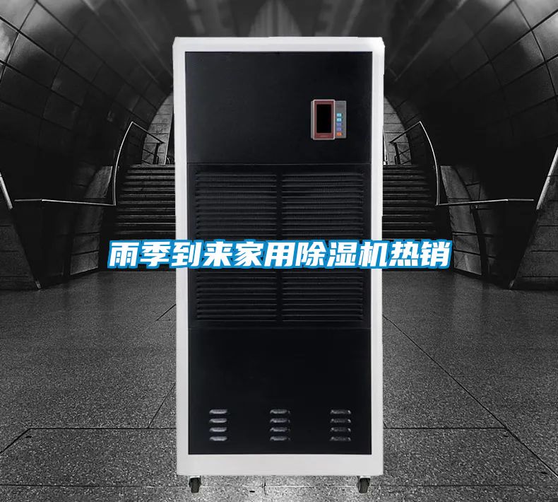 雨季到来家用除湿机热销
