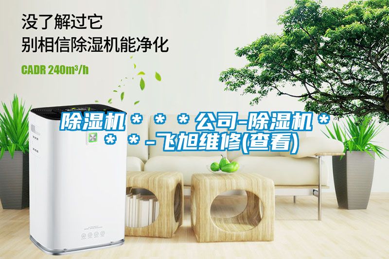 除湿机＊＊＊公司-除湿机＊＊＊-飞旭维修(查看)