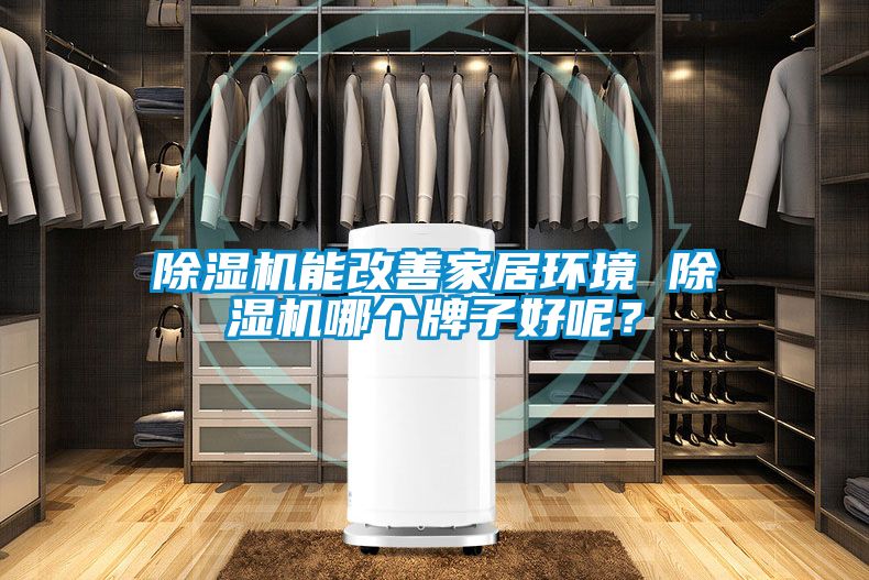 除湿机能改善家居环境 除湿机哪个牌子好呢？