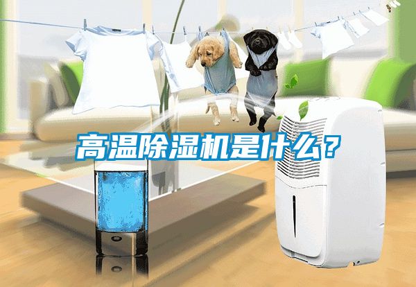 高温除湿机是什么？