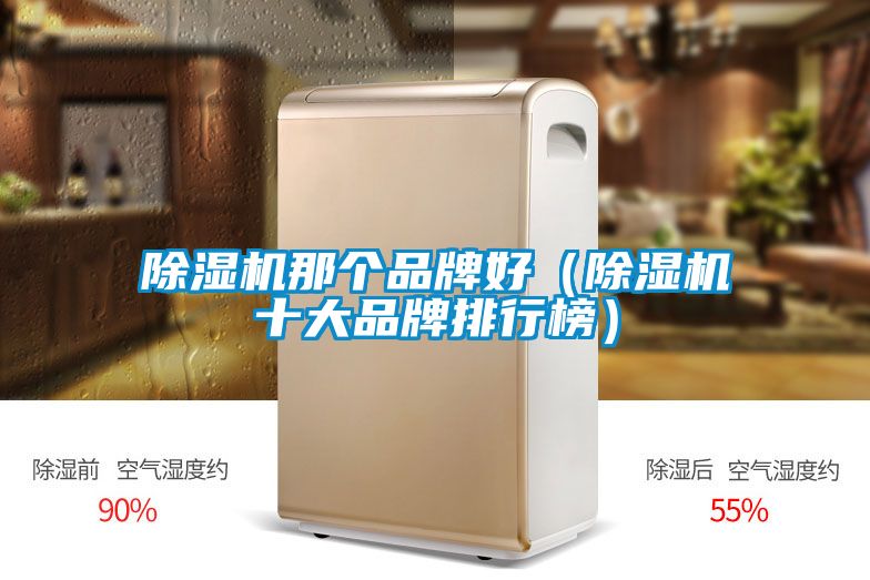 除湿机那个品牌好（除湿机十大品牌排行榜）