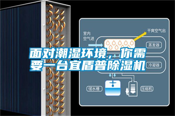 面对潮湿环境，你需要一台宜盾普除湿机
