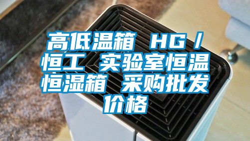 高低温箱 HG/恒工 实验室恒温恒湿箱 采购批发价格