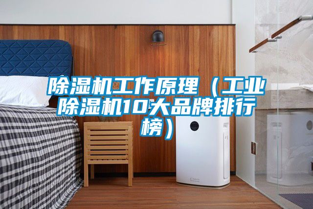 除湿机工作原理（工业除湿机10大品牌排行榜）