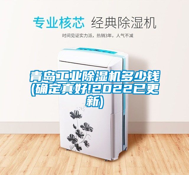 青岛工业除湿机多少钱(确定真好!2022已更新)