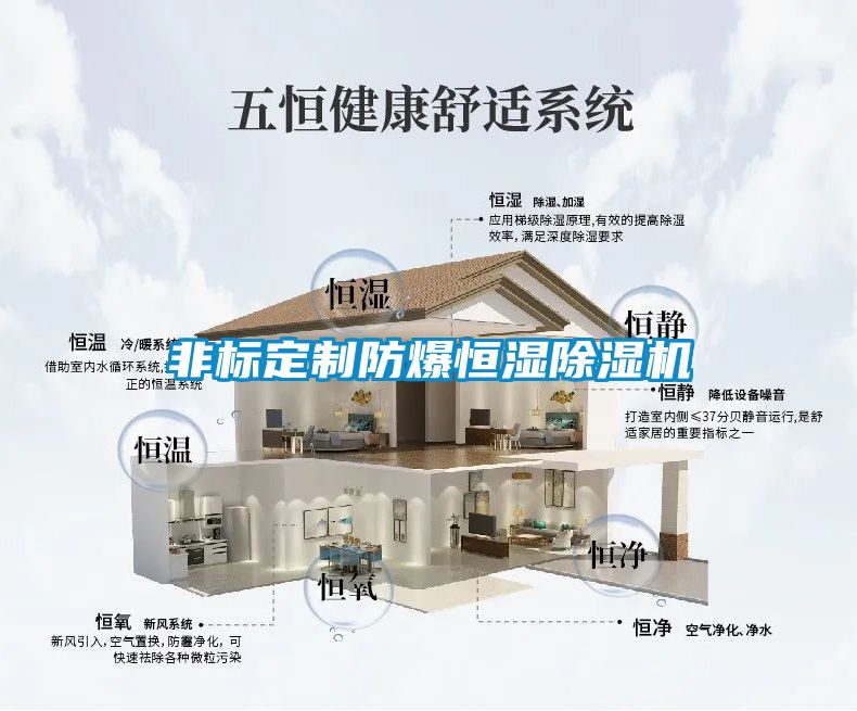 非标定制防爆恒湿除湿机