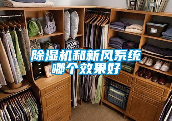 除湿机和新风系统哪个效果好