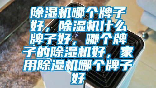 除湿机哪个牌子好，除湿机什么牌子好，哪个牌子的除湿机好，家用除湿机哪个牌子好
