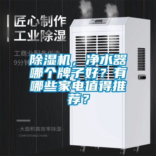 除湿机，净水器哪个牌子好？有哪些家电值得推荐？