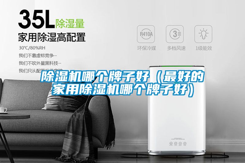 除湿机哪个牌子好（最好的家用除湿机哪个牌子好）