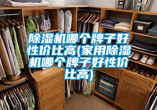 除湿机哪个牌子好性价比高(家用除湿机哪个牌子好性价比高)