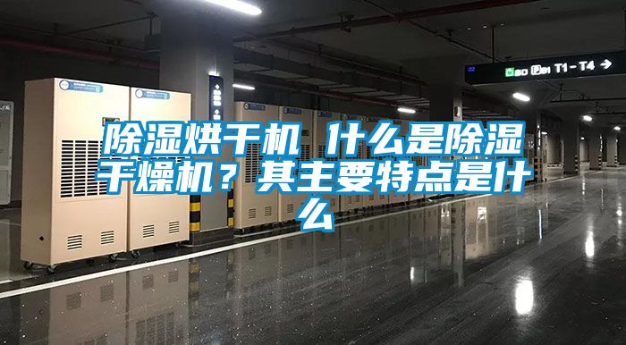 除湿烘干机 什么是除湿干燥机？其主要特点是什么