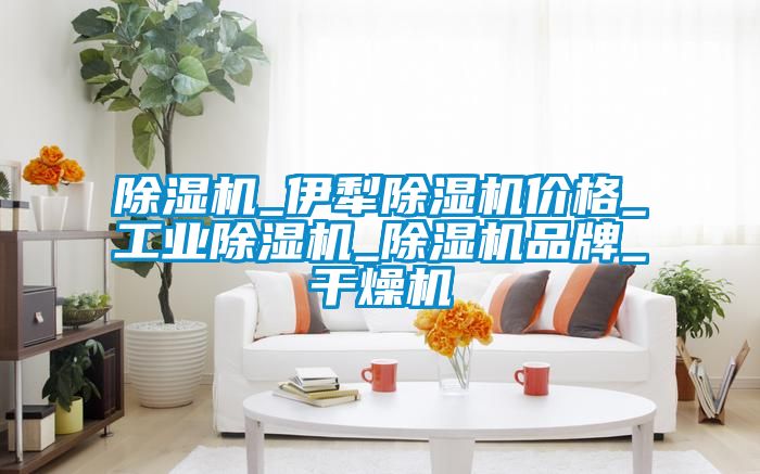 除湿机_伊犁除湿机价格_工业除湿机_除湿机品牌_干燥机