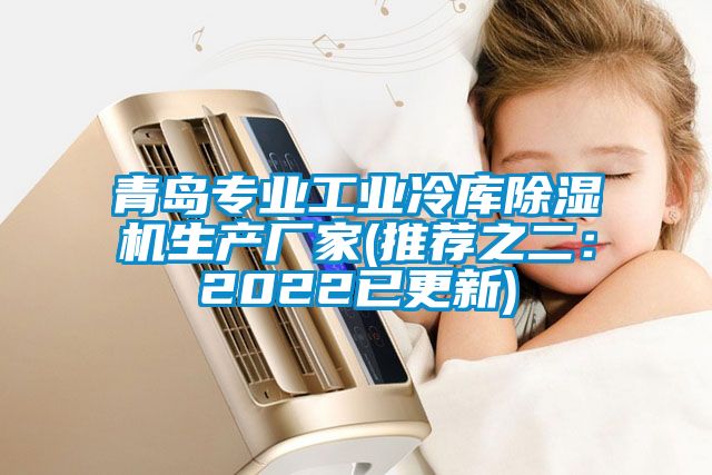 青岛专业工业冷库除湿机生产厂家(推荐之二：2022已更新)