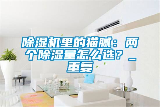 除湿机里的猫腻：两个除湿量怎么选？_重复