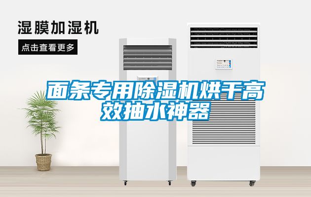 面条专用除湿机烘干高效抽水神器