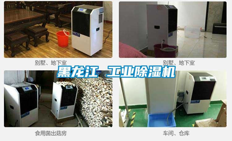 黑龙江 工业除湿机