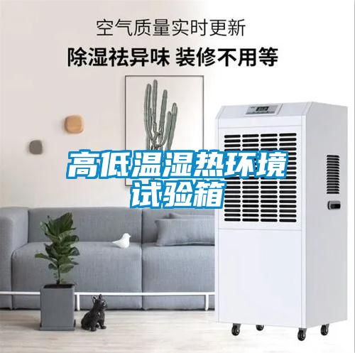 高低温湿热环境试验箱
