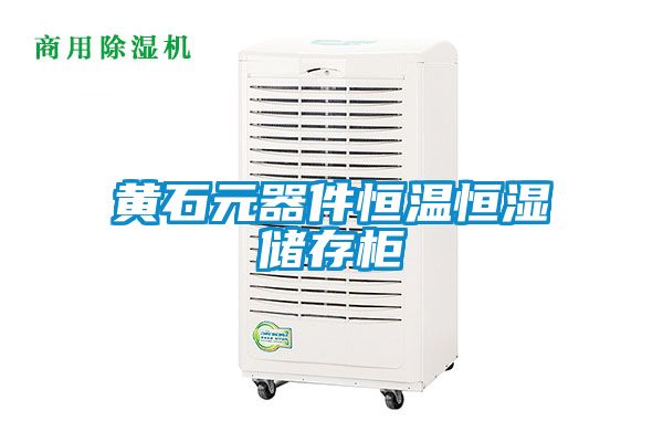 黄石元器件恒温恒湿储存柜