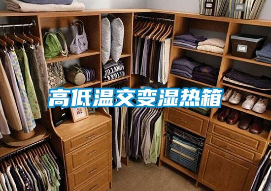 高低温交变湿热箱