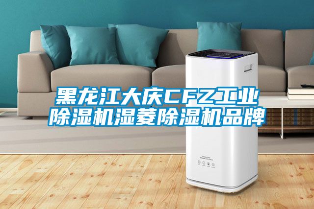 黑龙江大庆CFZ工业除湿机湿菱除湿机品牌