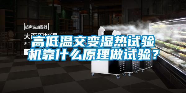 高低温交变湿热试验机靠什么原理做试验？