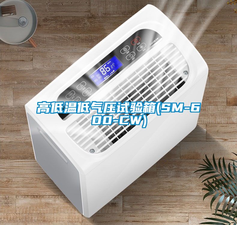 高低温低气压试验箱(SM-600-CW)