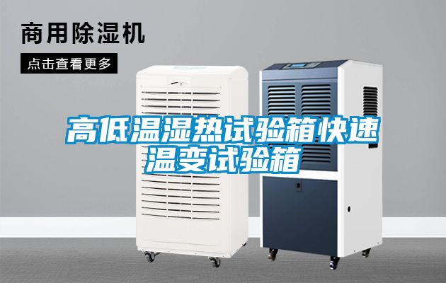 高低温湿热试验箱快速温变试验箱