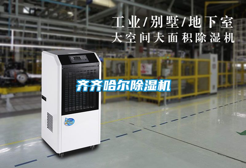 齐齐哈尔除湿机