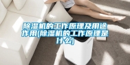 除湿机的工作原理及用途作用(除湿机的工作原理是什么)