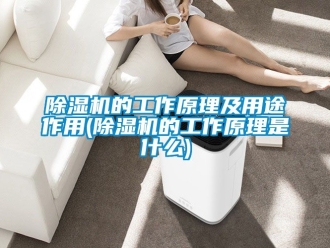 企业新闻除湿机的工作原理及用途作用(除湿机的工作原理是什么)