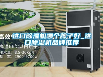 企业新闻进口除湿机哪个牌子好_进口除湿机品牌推荐