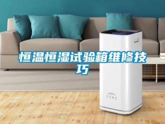 知识百科恒温恒湿试验箱维修技巧