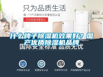 知识百科什么牌子除湿机效果好？国产优质除湿机品牌