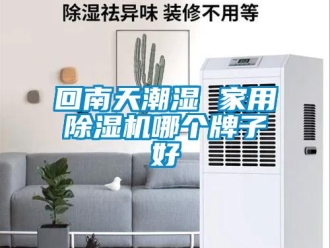 常见问题回南天潮湿 家用除湿机哪个牌子好