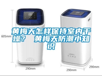 常见问题黄梅天怎样保持室内干燥？ 黄梅天防潮小知识