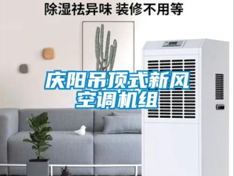 企业新闻庆阳吊顶式新风空调机组