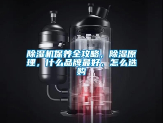 常见问题除湿机保养全攻略，除湿原理，什么品牌最好，怎么选购