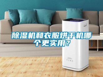 常见问题除湿机和衣服烘干机哪个更实用？