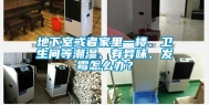 地下室或者家里一楼、卫生间等潮湿、有异味、发霉怎么办？