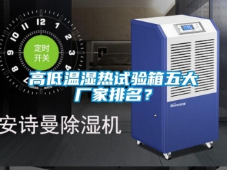 常见问题高低温湿热试验箱五大厂家排名？