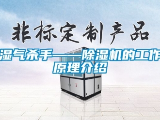 行业新闻湿气杀手——除湿机的工作原理介绍